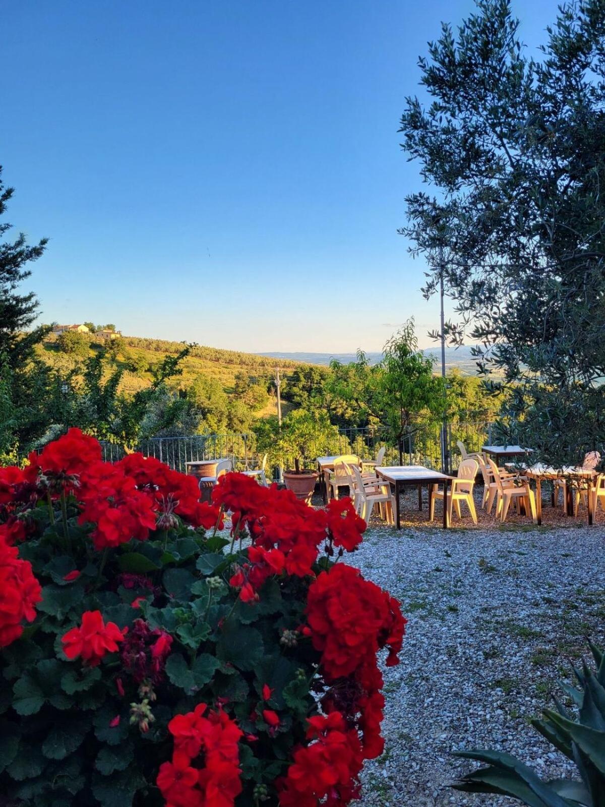 וינצ'י Agriturismo La Gioconda מראה חיצוני תמונה