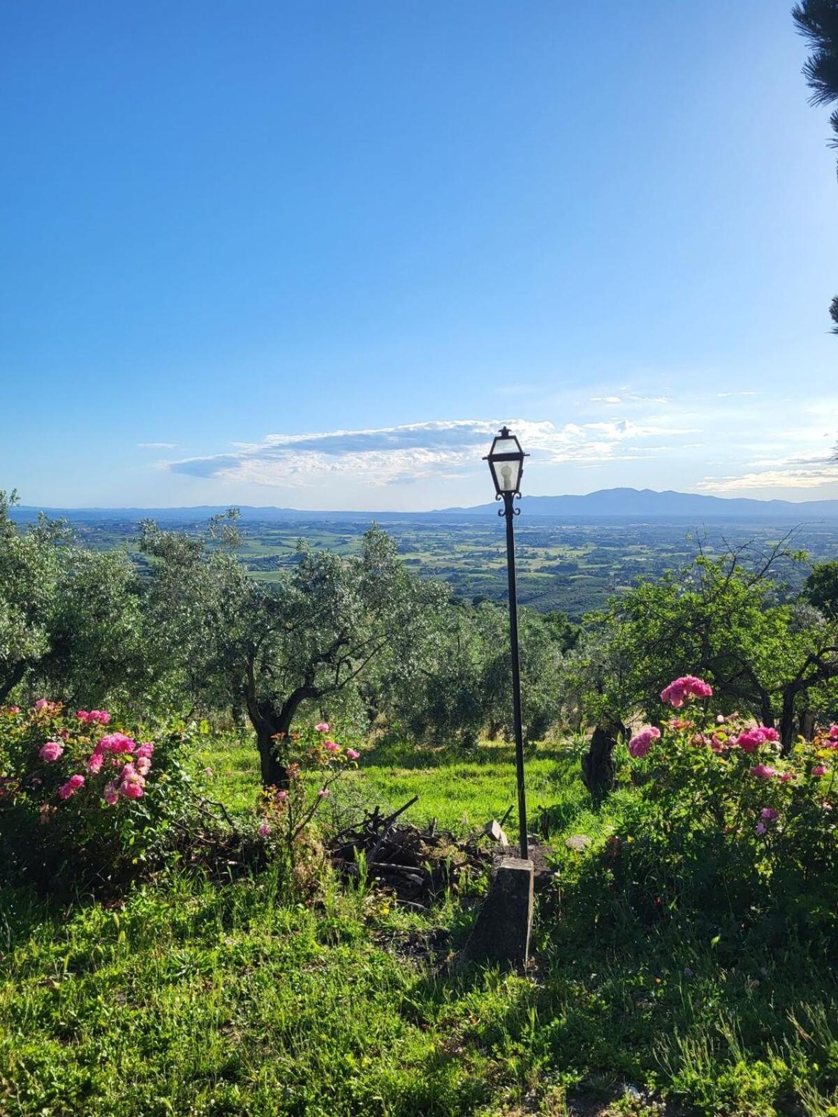 וינצ'י Agriturismo La Gioconda מראה חיצוני תמונה